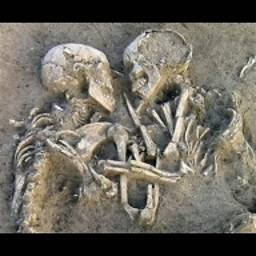 skeletons-embrace256x256.1589584335.jpg